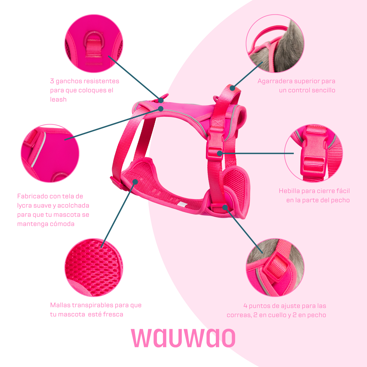 Harness - Fucsia
