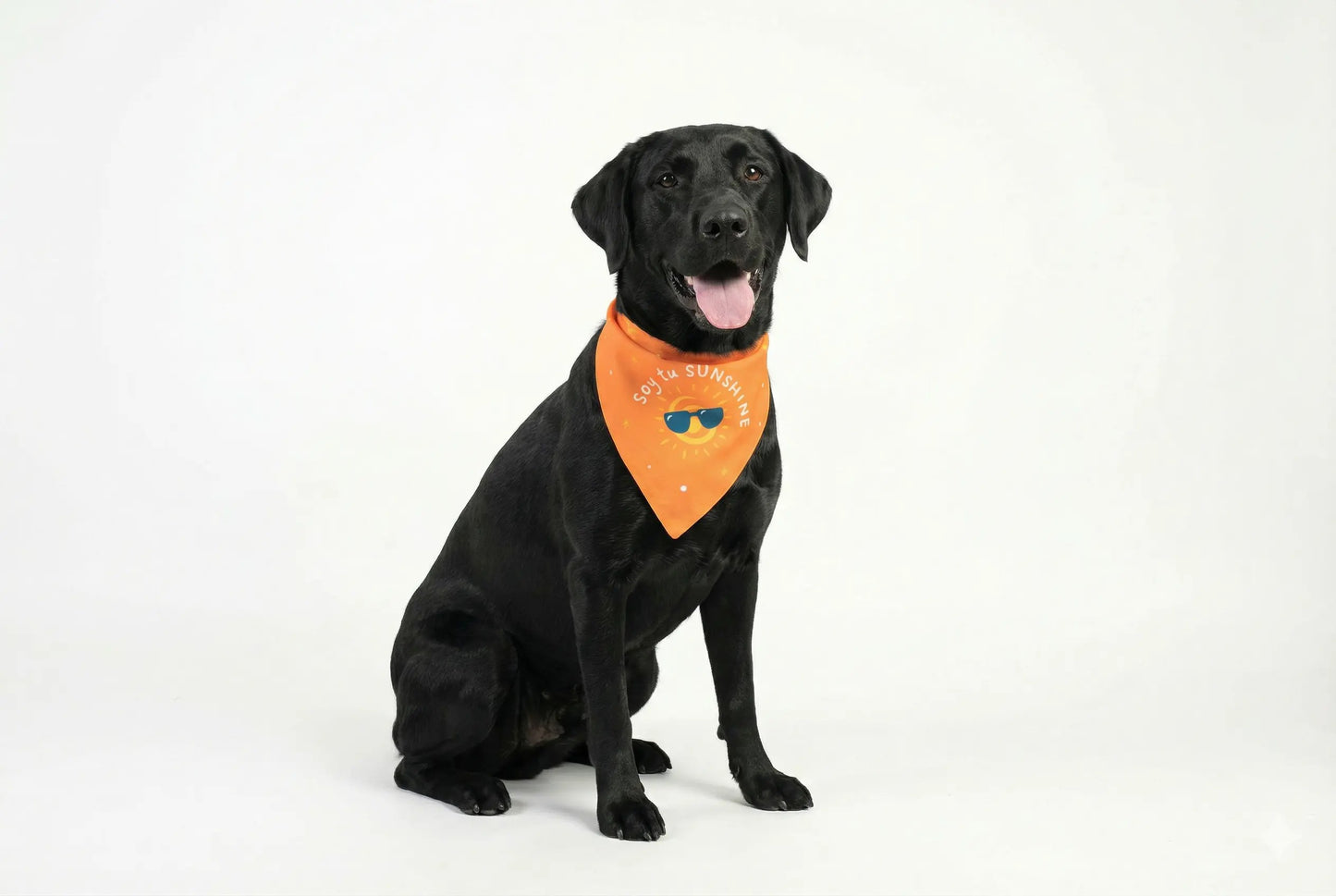 Bandana Soy tu sunshine - Reversible 2 en 1