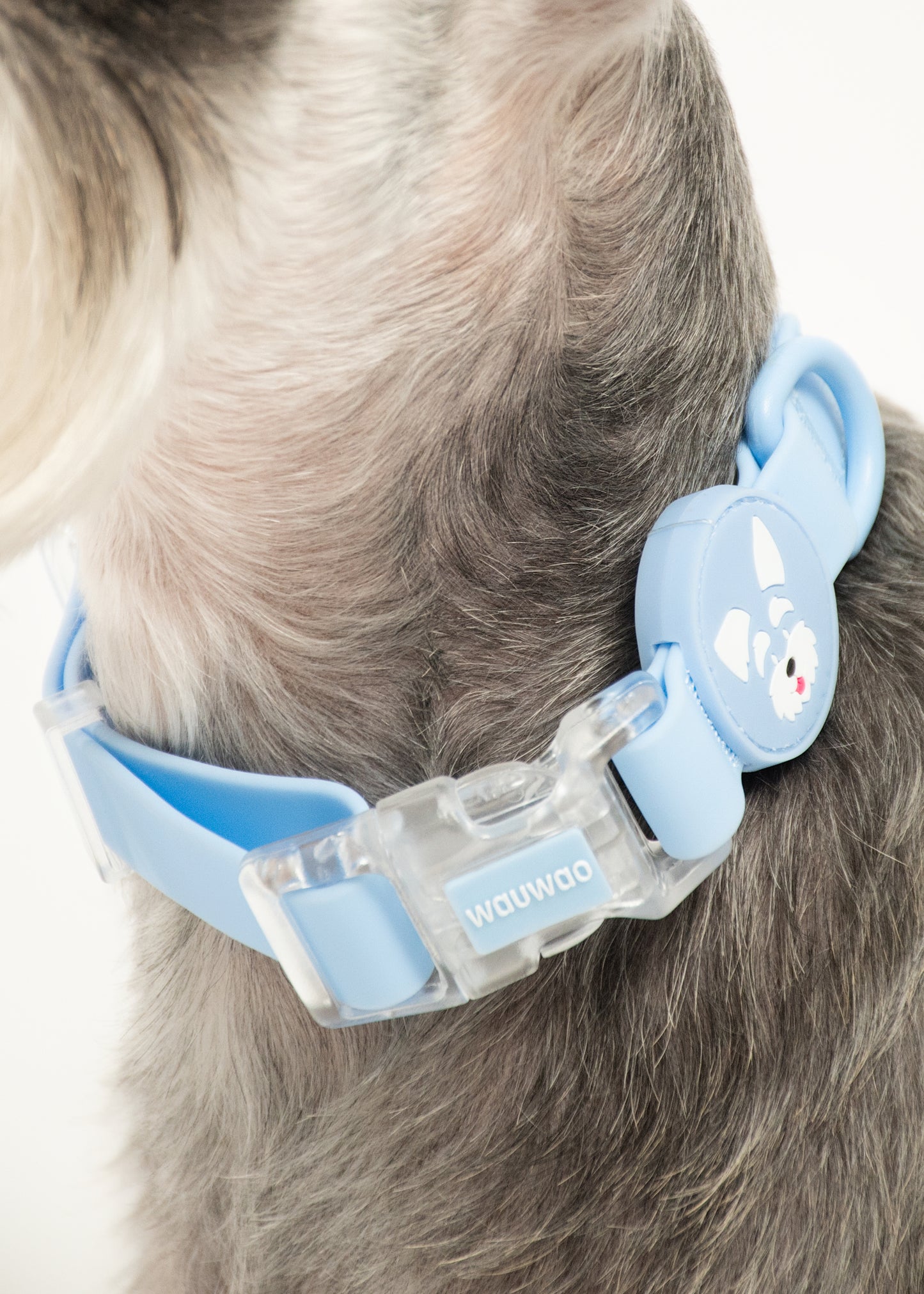 Collar - Impermeable - Celeste