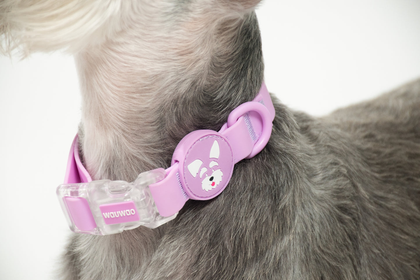 Collar - Impermeable - Lila