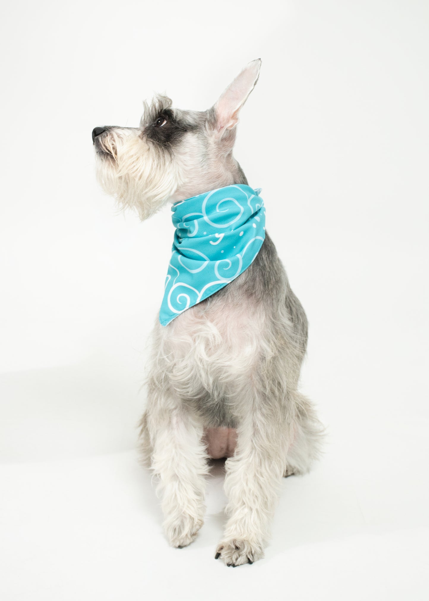 Bandana Beach Day - Reversible 2 en 1