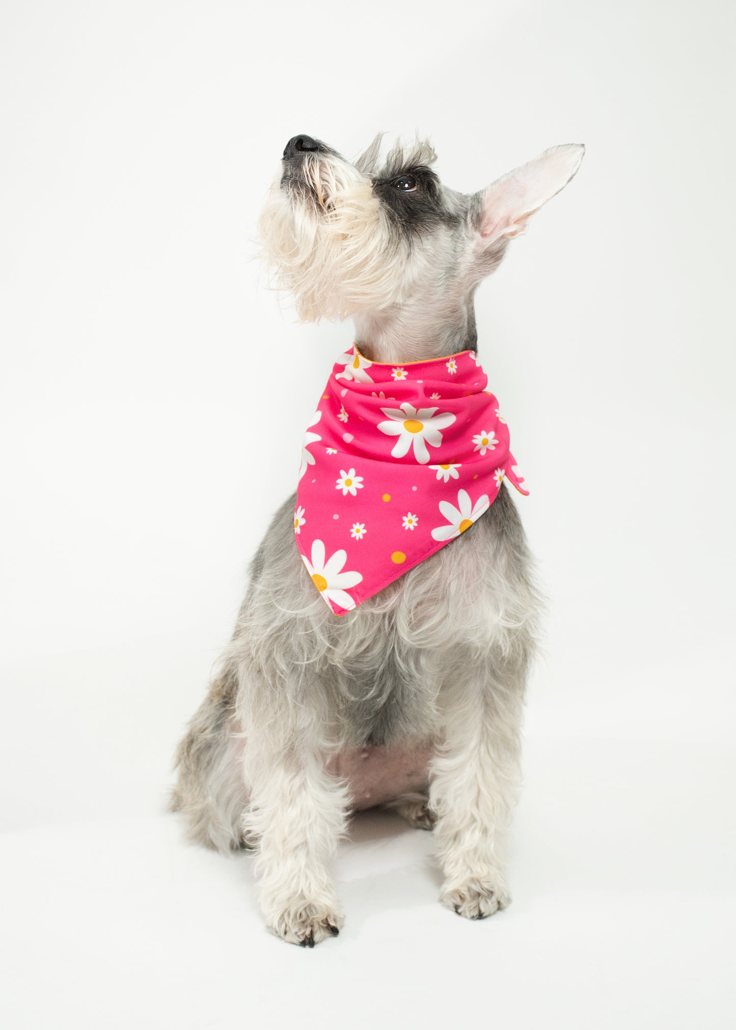 Bandana Lo más bello del jardín - Reversible 2 en 1