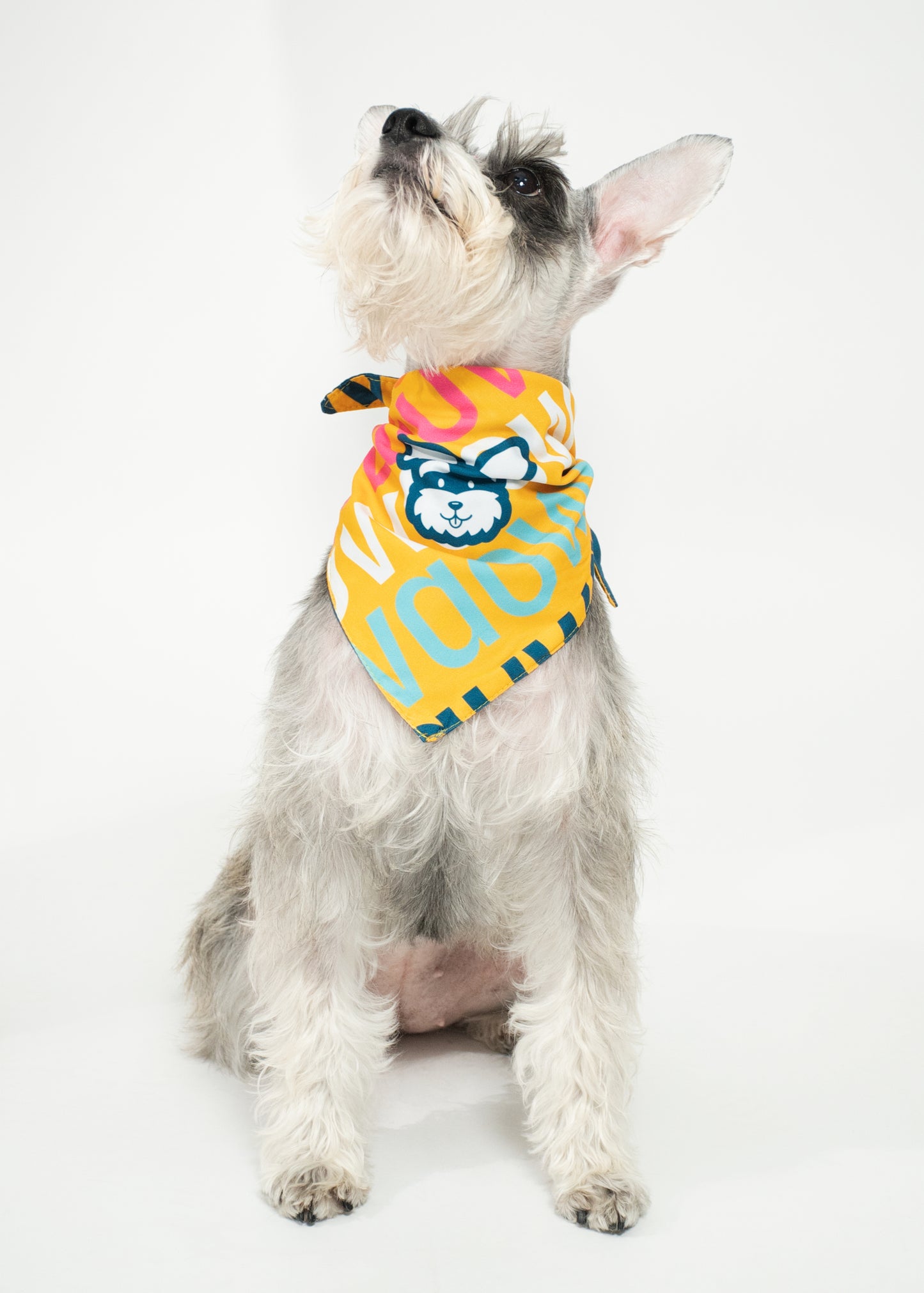Bandana Soy todo un WauWao - Reversible 2 en 1