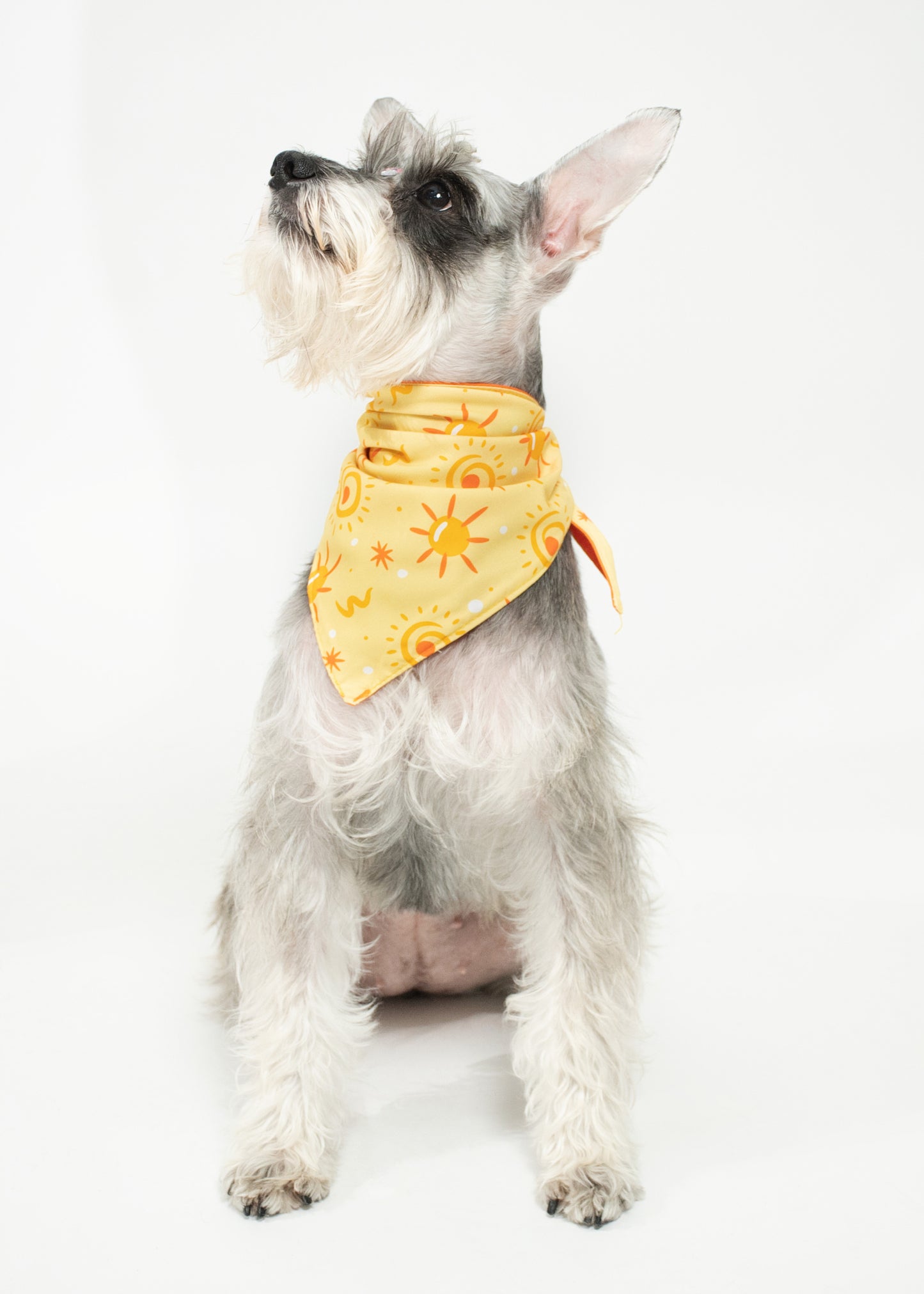 Bandana Soy tu sunshine - Reversible 2 en 1