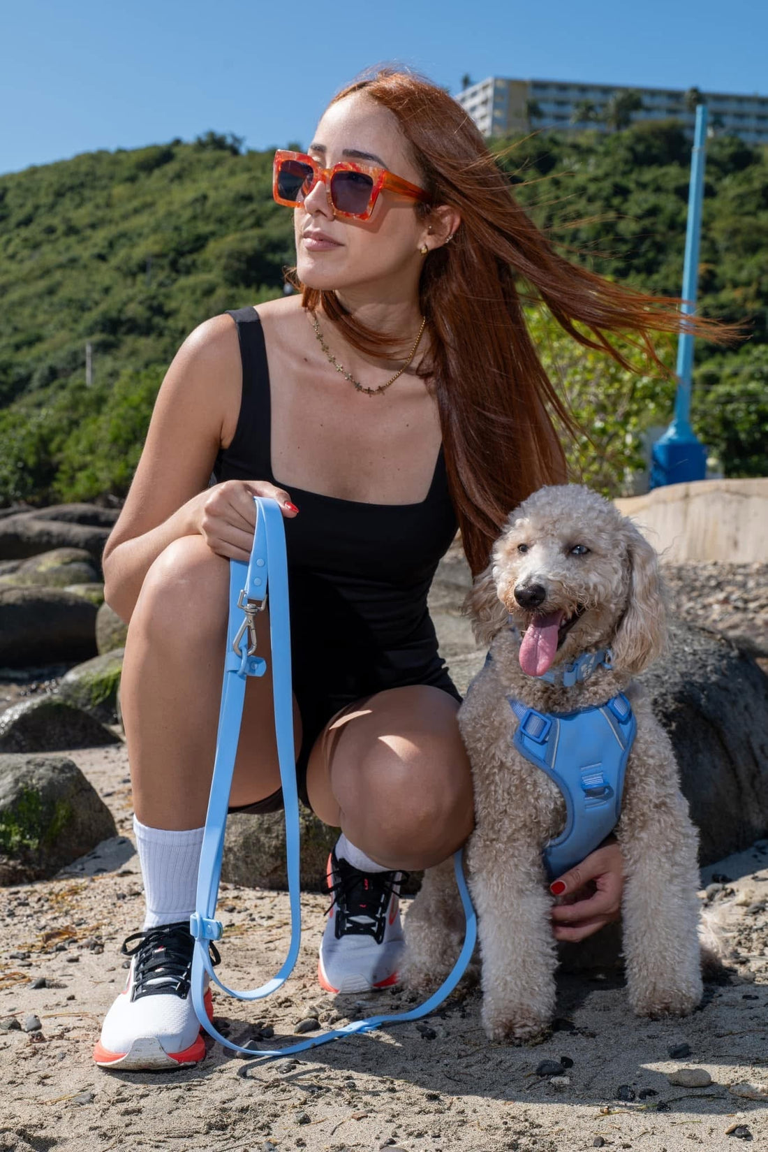 3 formas de evitar que tu perrito se pierda (y por qué pasa más de lo que crees)