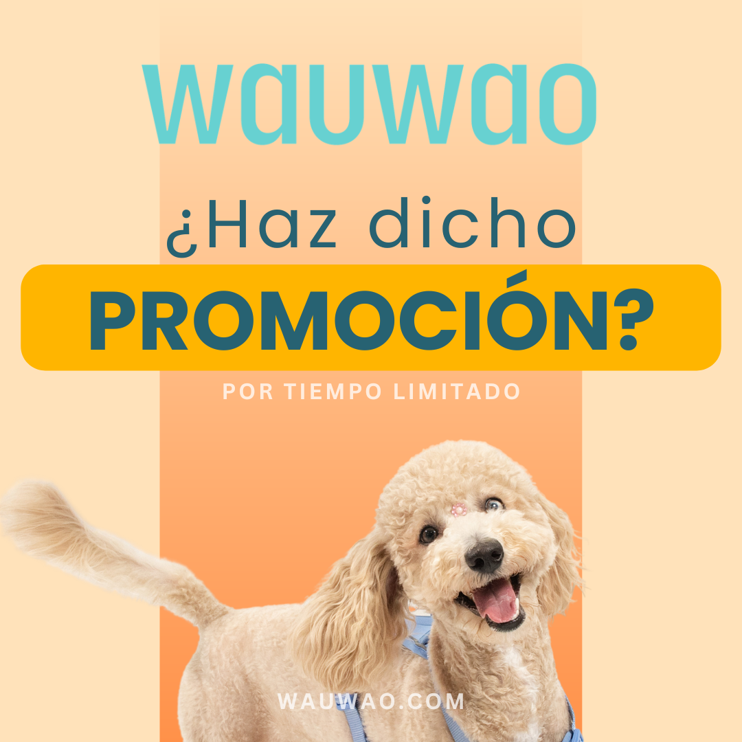 🐾 Sale de Accesorios para Mascotas