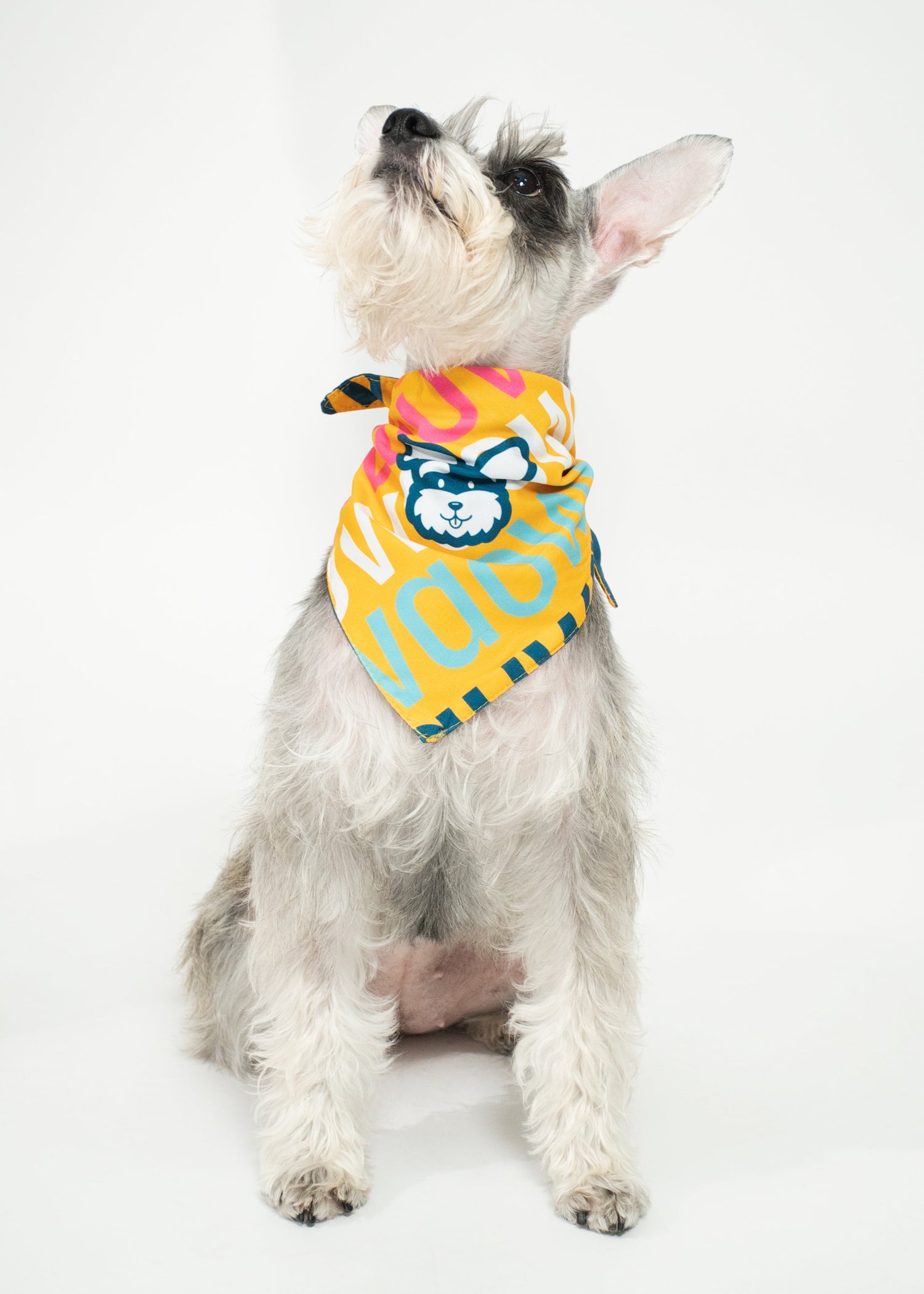 Bandanas