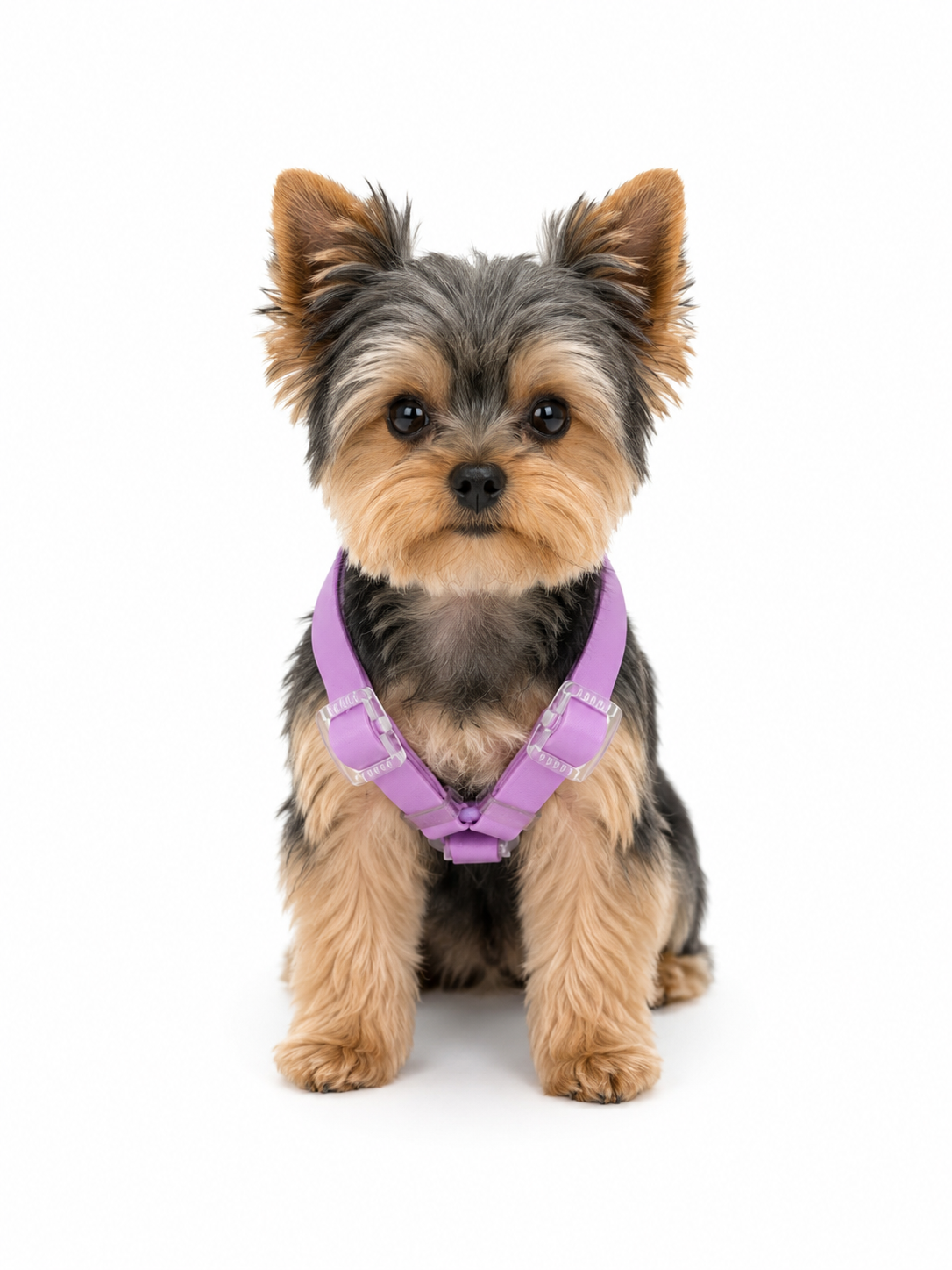 Harness - Impermeable - Lila