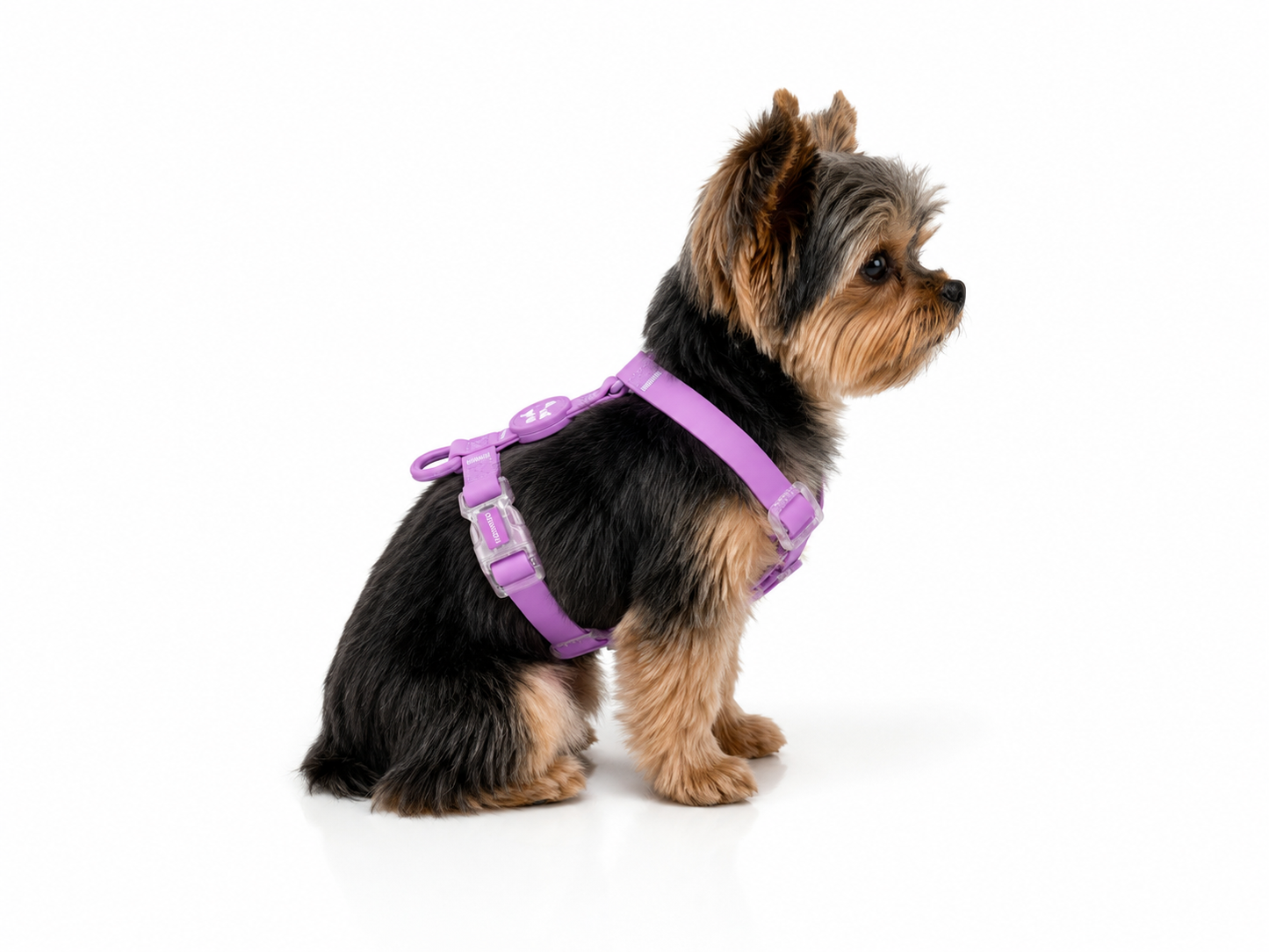 Harness - Impermeable - Lila