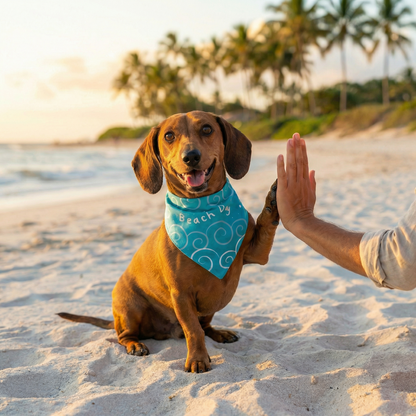 Bandana Beach Day - Reversible 2 en 1