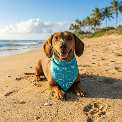 Bandana Beach Day - Reversible 2 en 1