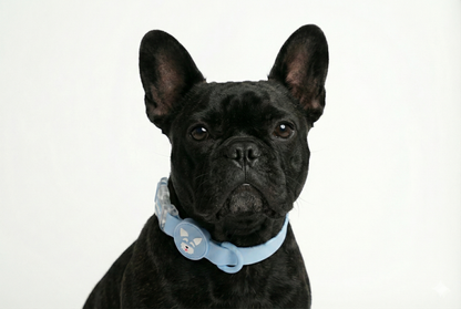 Collar - Impermeable - Celeste