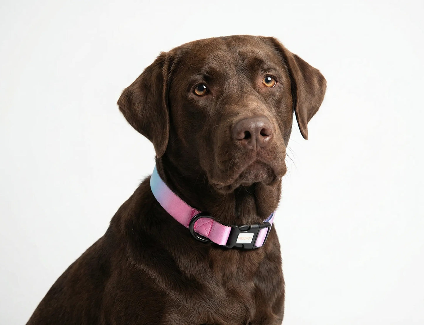 Collar - Degradado de azul y rosa