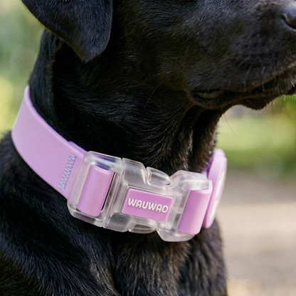 Collar - Impermeable - Lila