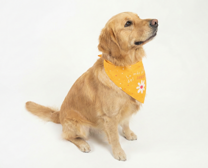 Bandana Lo más bello del jardín - Reversible 2 en 1