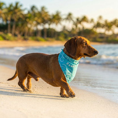 Bandana Beach Day - Reversible 2 en 1