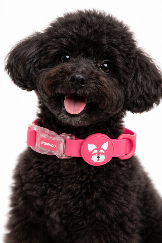 Collar - Impermeable - Fucsia