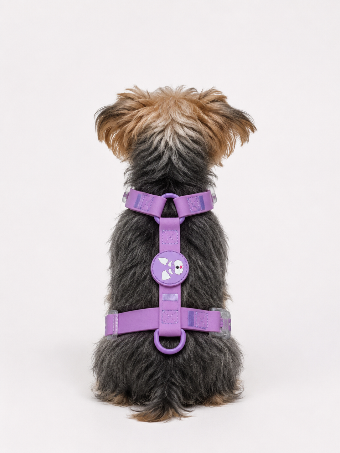 Harness - Impermeable - Lila