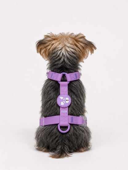 Harness - Impermeable - Lila