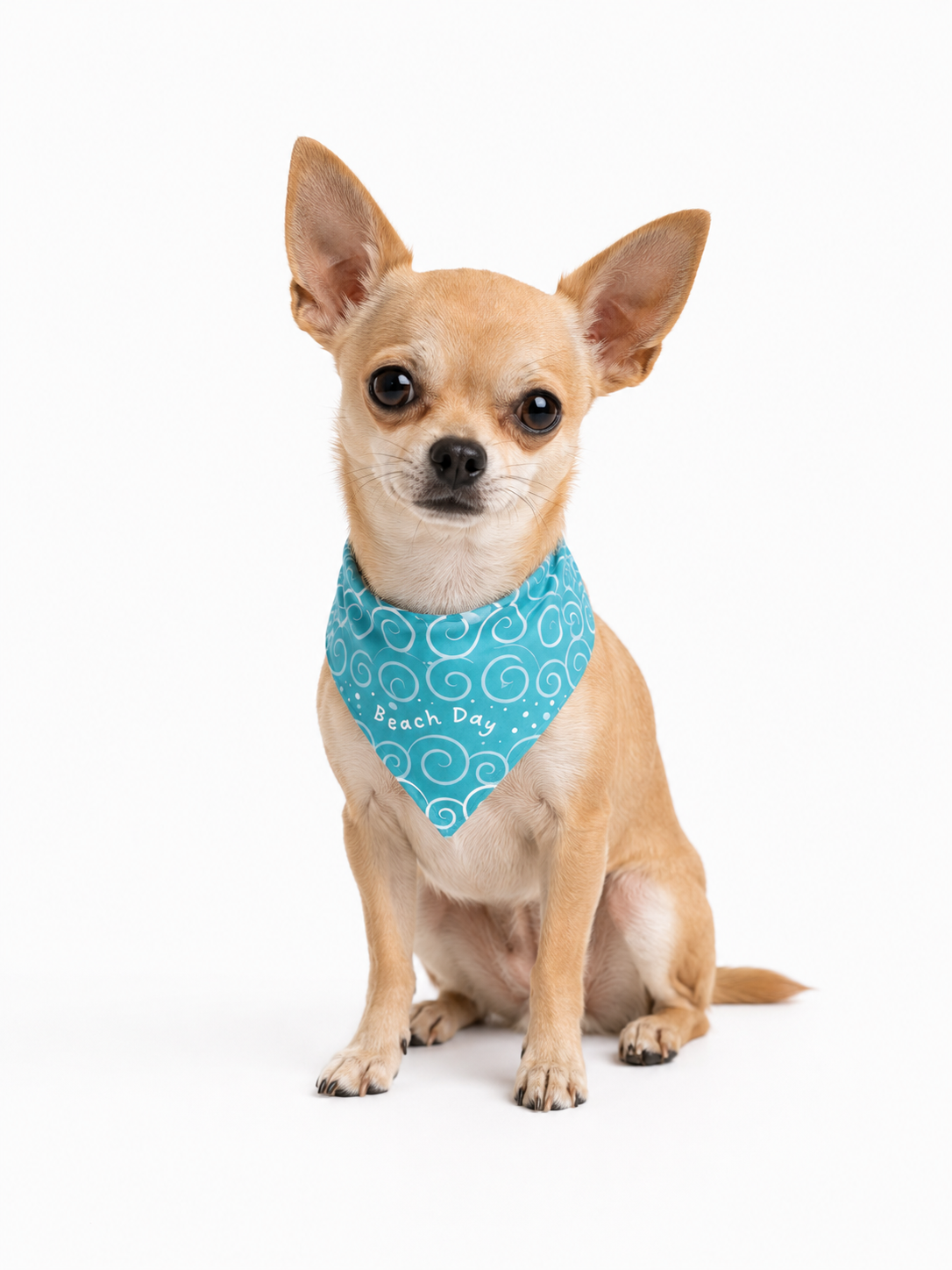 Bandana Beach Day - Reversible 2 en 1