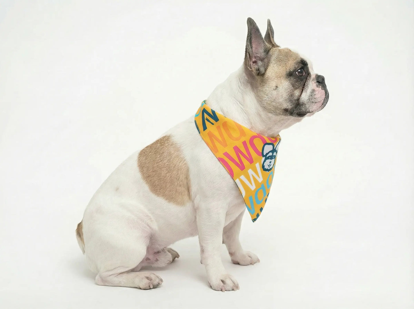 Bandana Soy todo un WauWao - Reversible 2 en 1