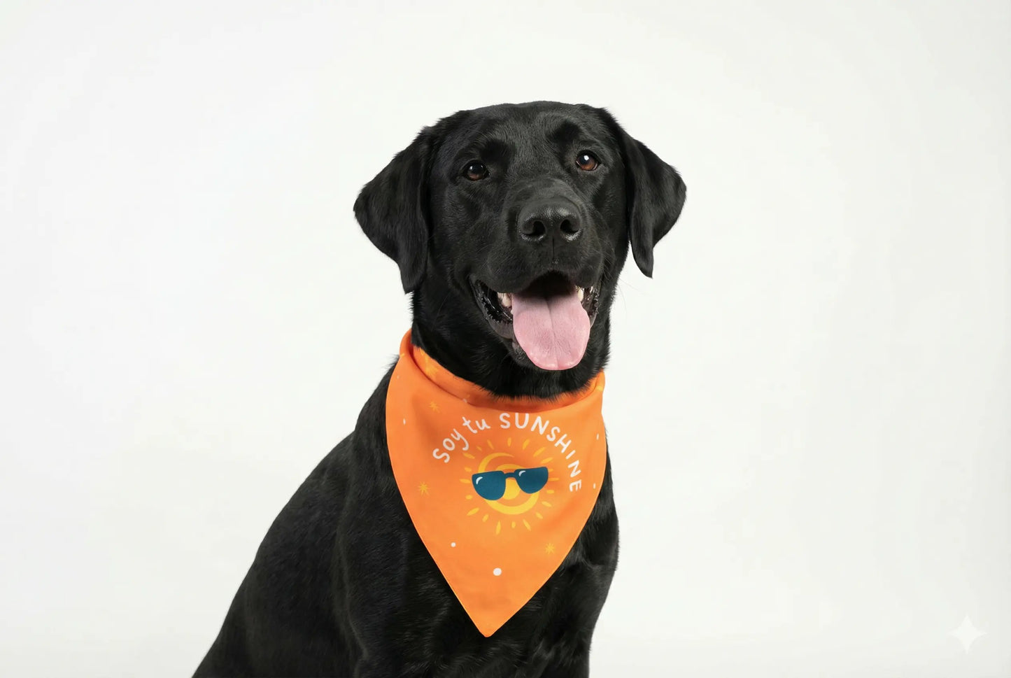 Bandana Soy tu sunshine - Reversible 2 en 1