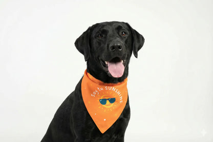 Bandana Soy tu sunshine - Reversible 2 en 1