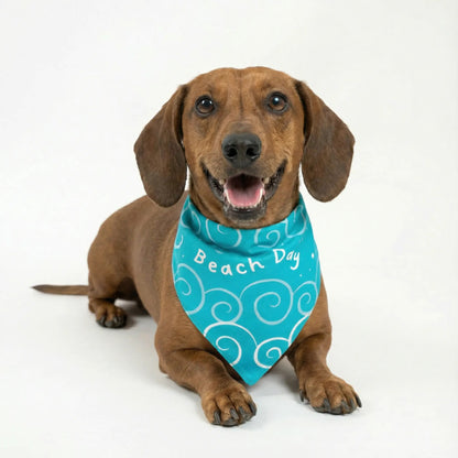 Bandana Beach Day - Reversible 2 en 1