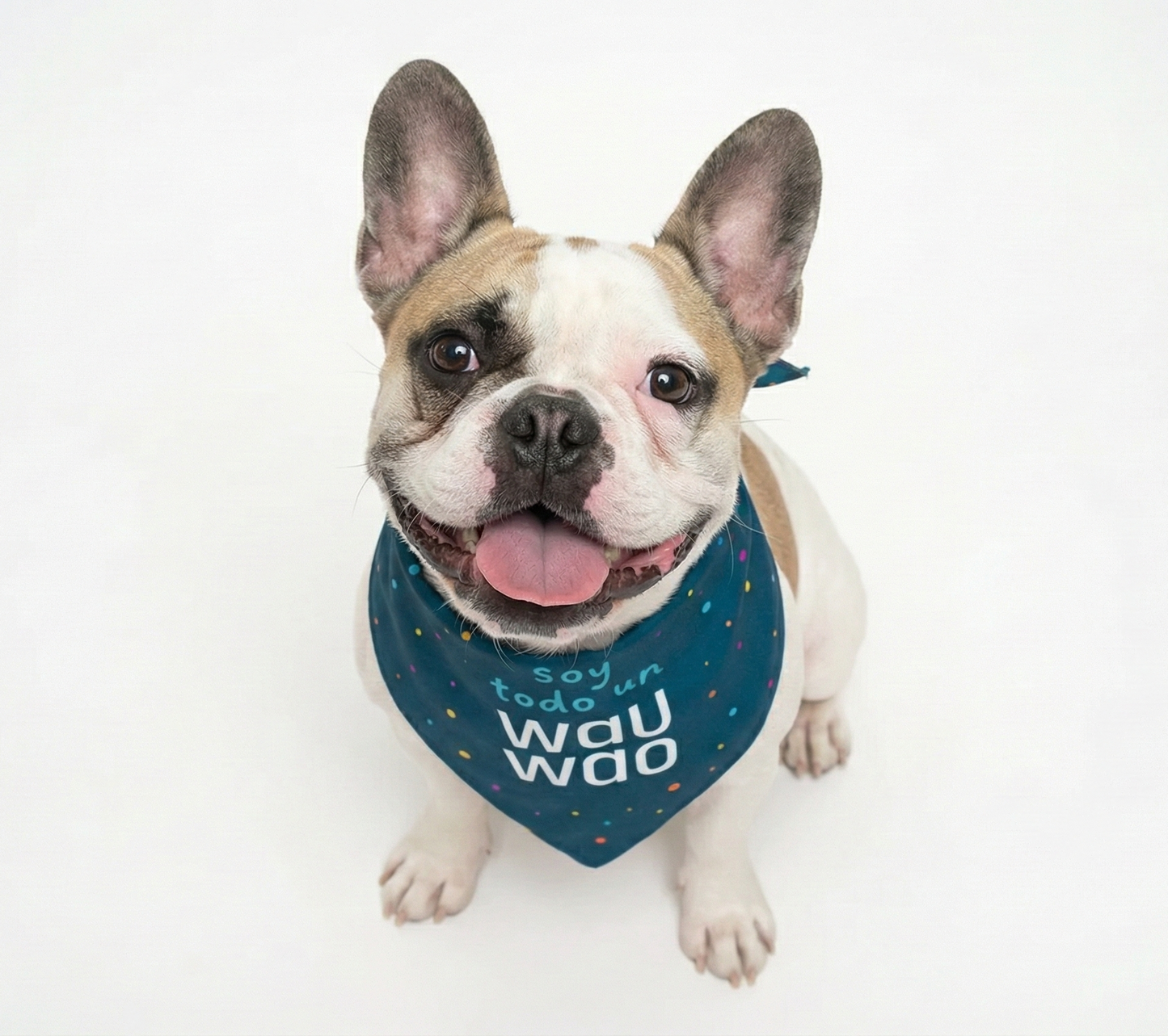 Bandana Soy todo un WauWao - Reversible 2 en 1