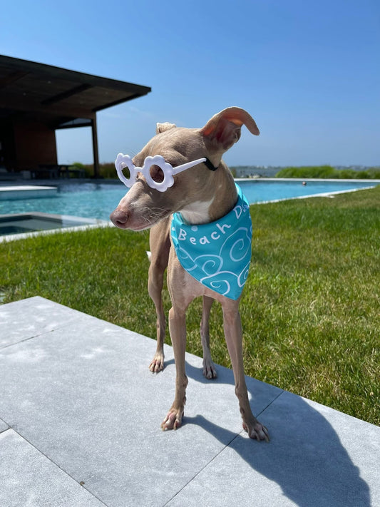 Bandana Beach Day - Reversible 2 en 1