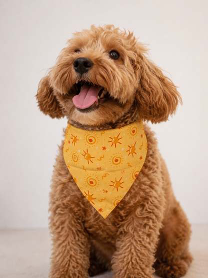 Bandana Soy tu sunshine - Reversible 2 en 1