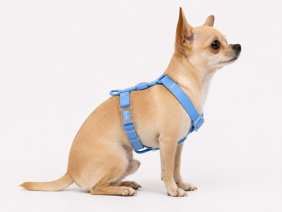 Harness - Impermeable - Azul celeste