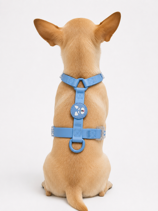 Harness - Impermeable - Azul celeste