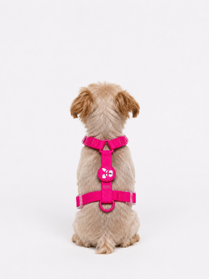 Harness - Impermeable - Fucsia