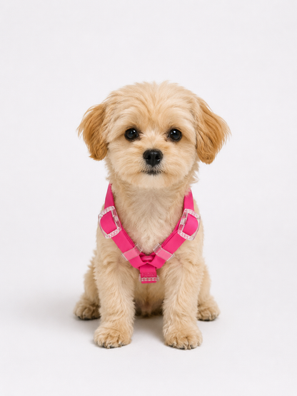 Harness - Impermeable - Fucsia