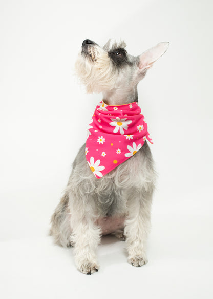 Bandana Lo más bello del jardín - Reversible 2 en 1