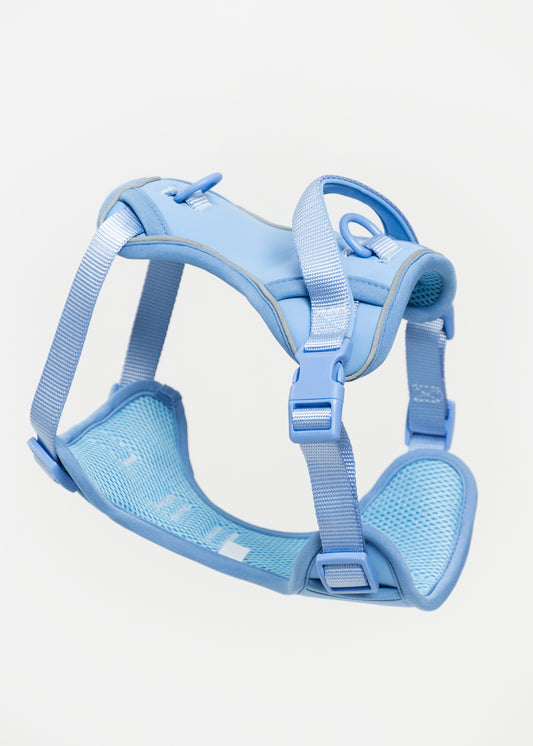 Harness - Celeste