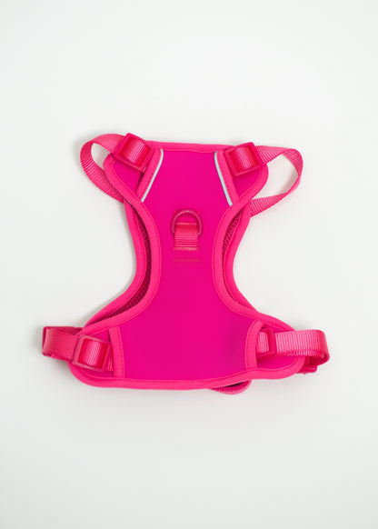 Harness - Fucsia