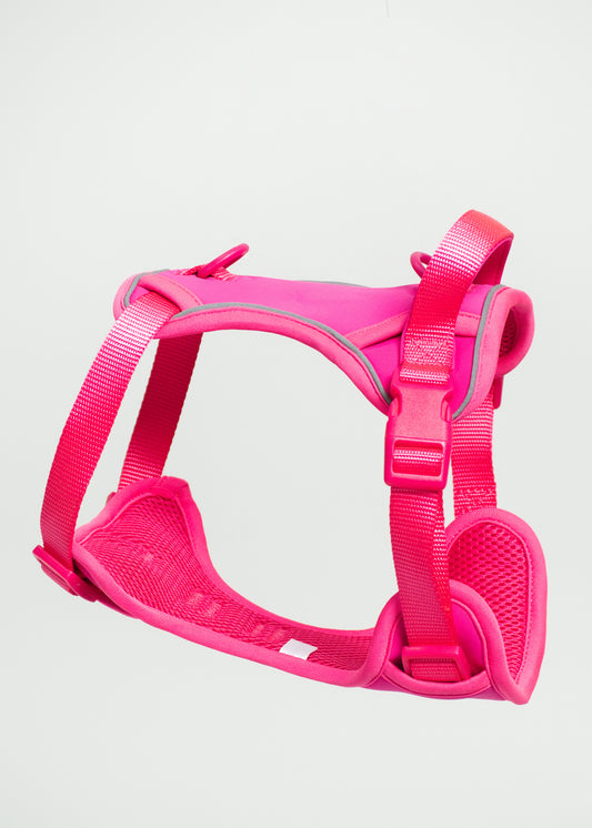 Harness - Fucsia
