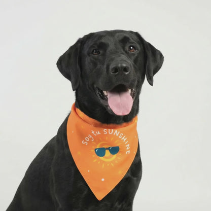 Bandana Soy tu sunshine - Reversible 2 en 1