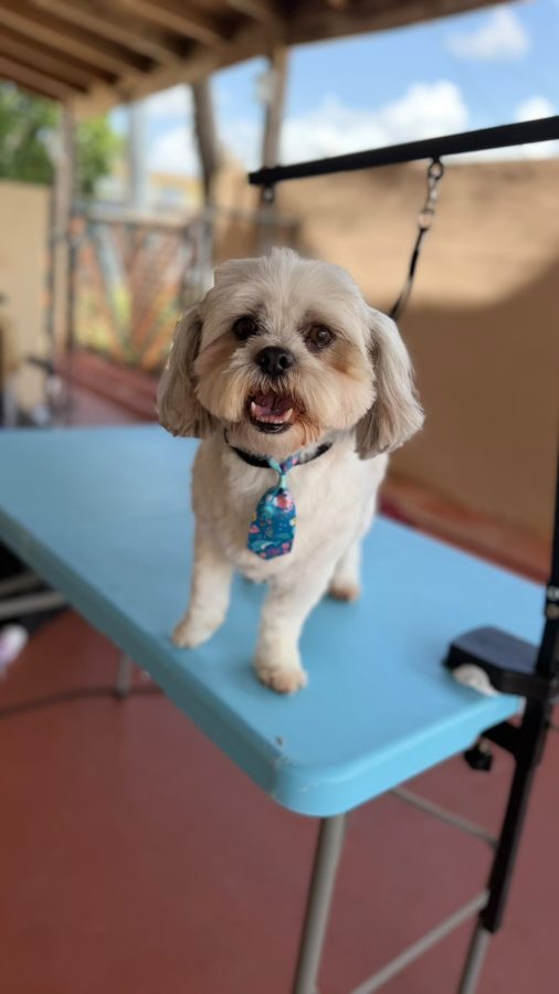 Foto de Daphne Lleras