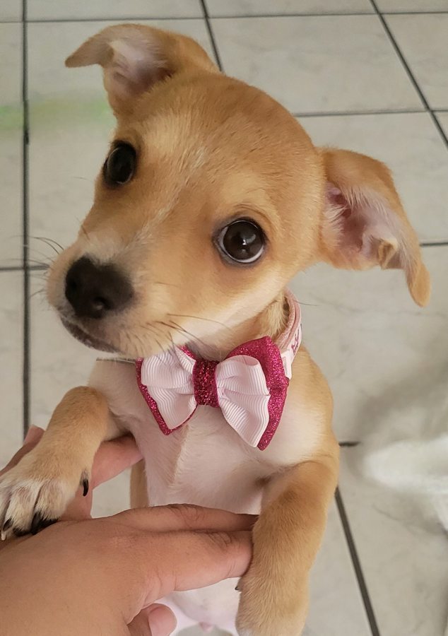 Foto de Barbara Caraballo